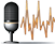 Voice Over & Audio for Media